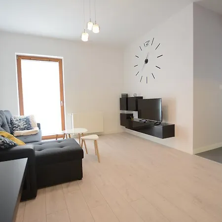 Luxury Apartment